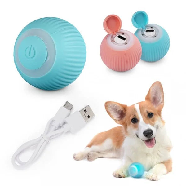 Self-Moving Ball for Pets