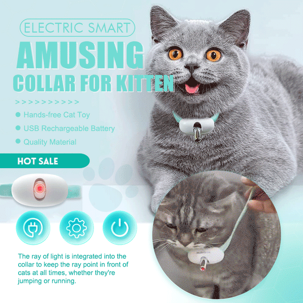 Laser Collar Cat Teaser Toy