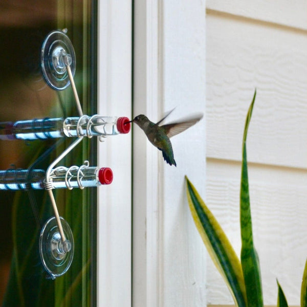 🔥Geometric Window Hummingbird Feeder🐦