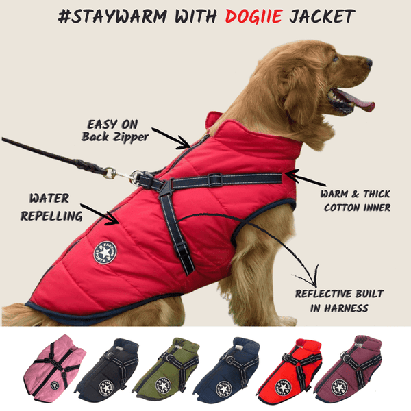 Waterproof  pet jacket with built-in straps
