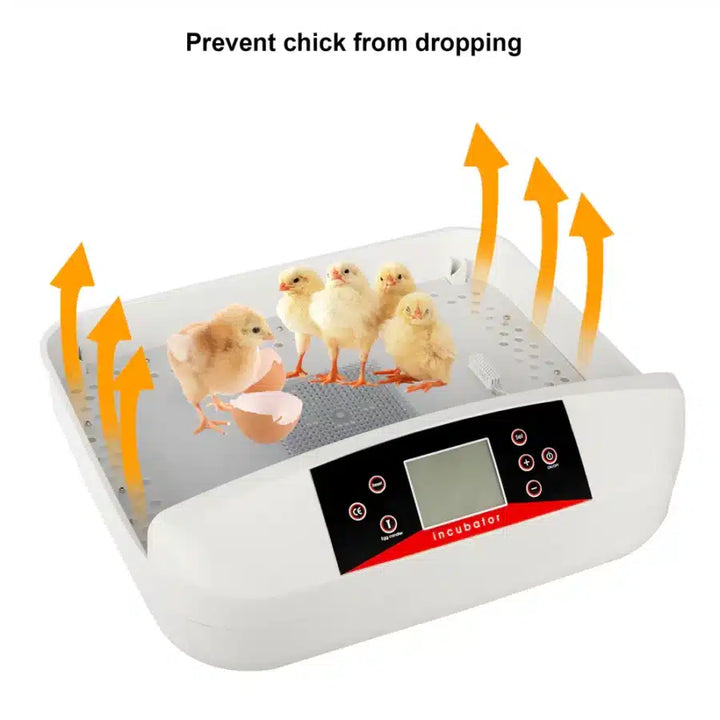 42-Egg Practical Fully Automatic Poultry Incubator - FOFOPO