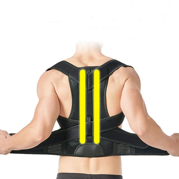 Complete Back Care Brace - FOFOPO