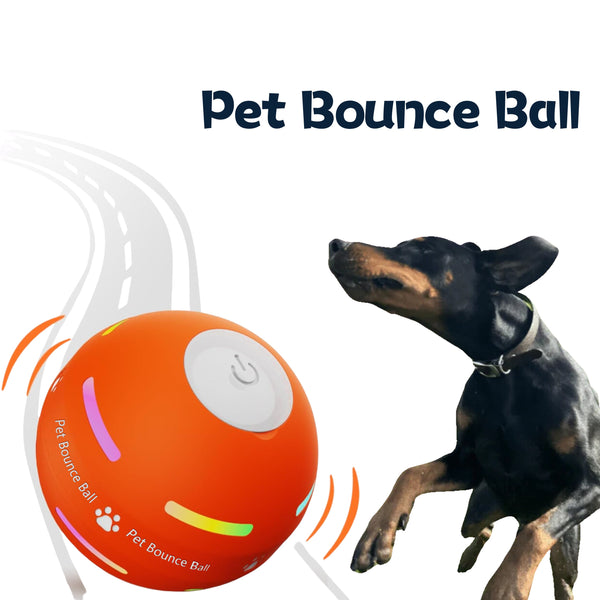 Pet Bounce Ball