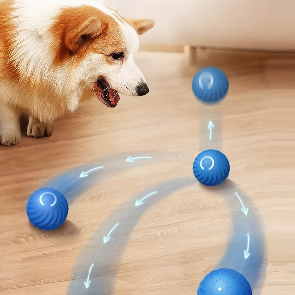 Fun Interactive Rolling Ball Toy - FOFOPO