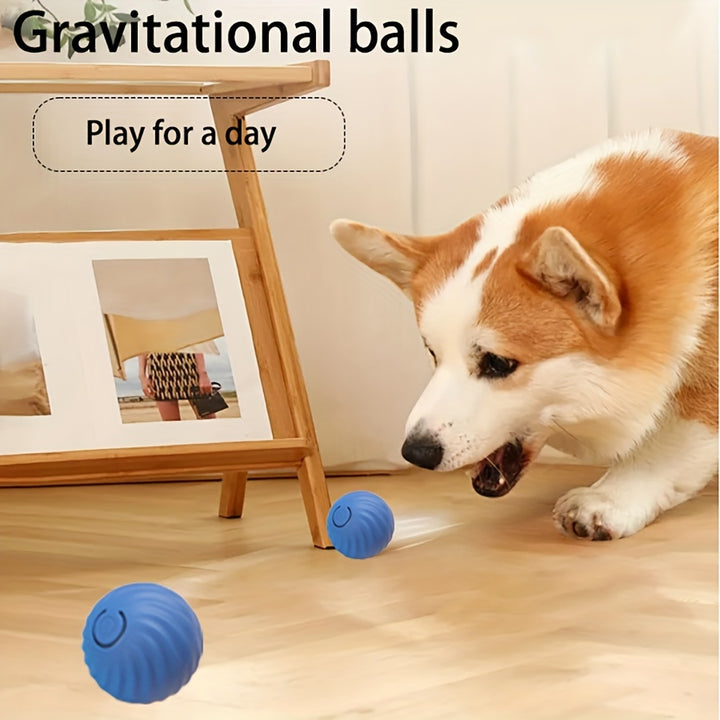 Fun Interactive Rolling Ball Toy - FOFOPO