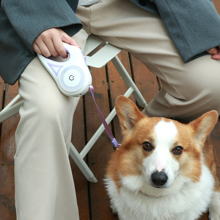 LED Light Retractable Dog Leash with Light - FOFOPO