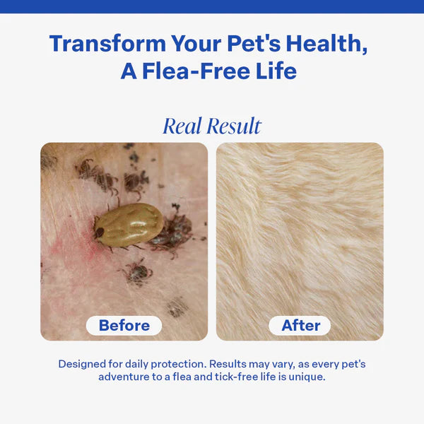 FurLife™ Flea and Tick collar - FOFOPO