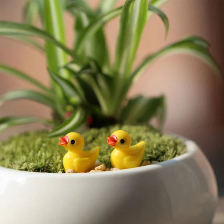 Tiny Ducks | Challenge Hiding Ducks(50 PCS) - FOFOPO