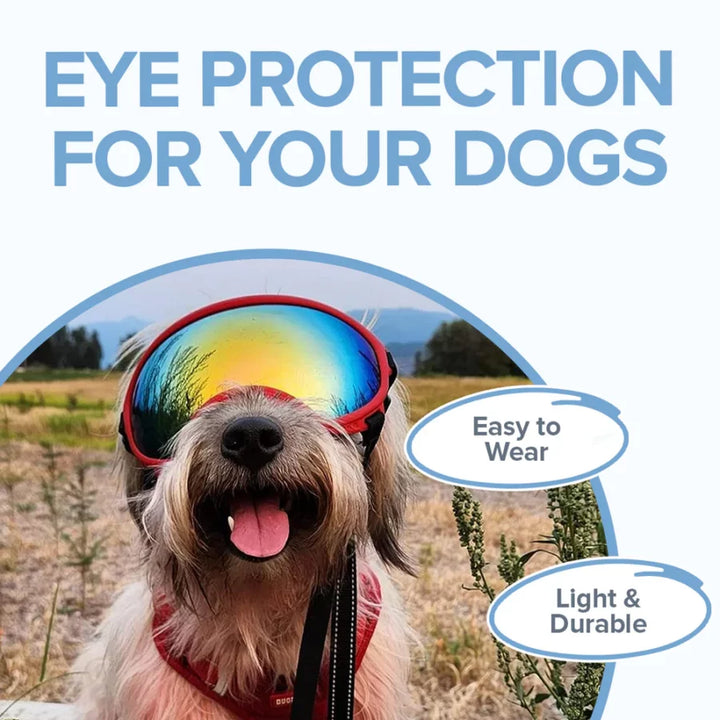 PupShield Dog Goggles - FOFOPO