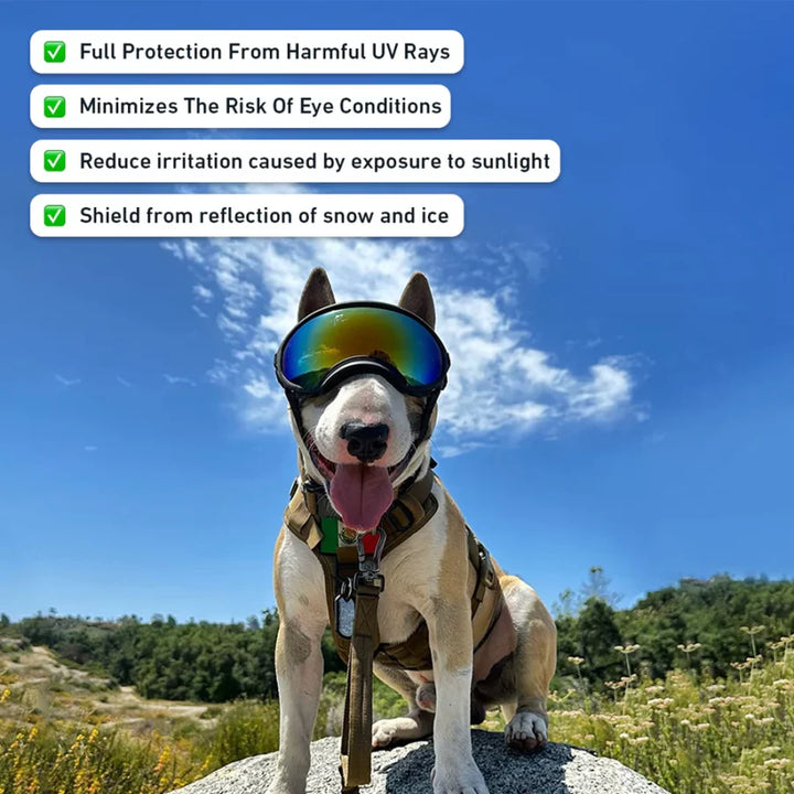 PupShield Dog Goggles - FOFOPO