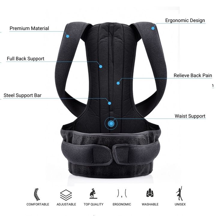 Complete Back Care Brace - FOFOPO