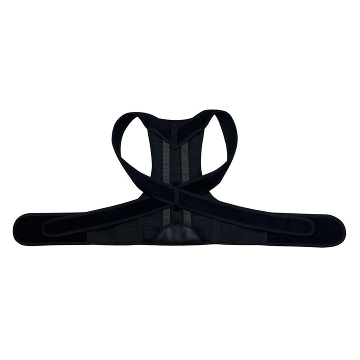 Complete Back Care Brace - FOFOPO