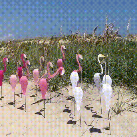 Florida Dancing Birds Garden Metal Art