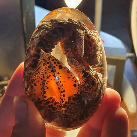 ✨🐉Lava Dragon Egg - FOFOPO