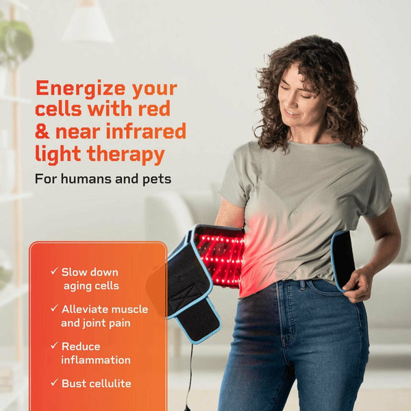 Pain Relief Red Light Therapy Belt
