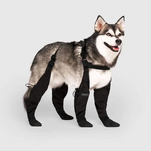 Canadapooch Suspender Boots For Dogs