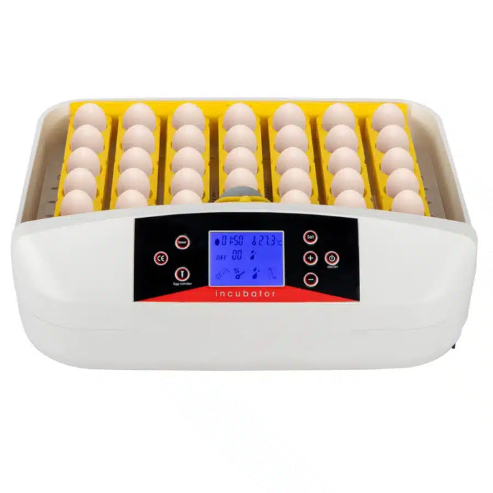 42-Egg Practical Fully Automatic Poultry Incubator - FOFOPO