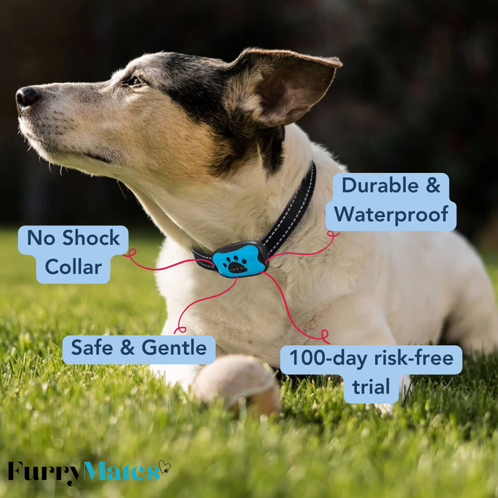 FurryMates Anti-Bark Collar - FOFOPO