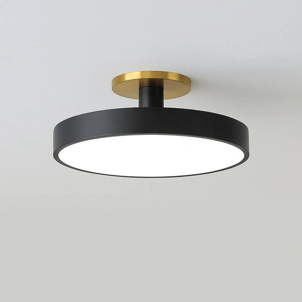 LED Ceiling Light