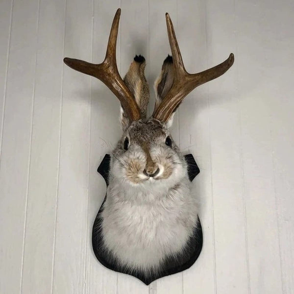 Jackalope Wall Decor