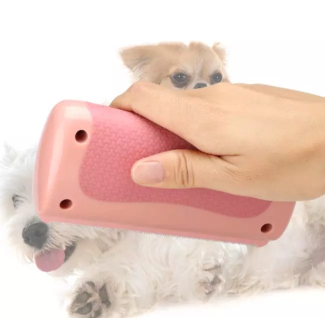 New Deshedding Brush 2.0 - FOFOPO