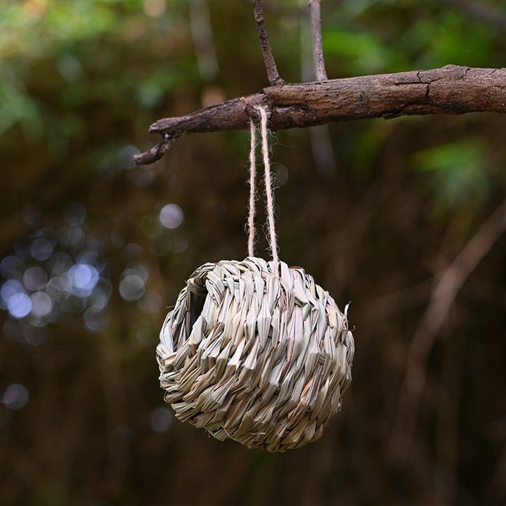 🐦Hummingbird Nest House - FOFOPO