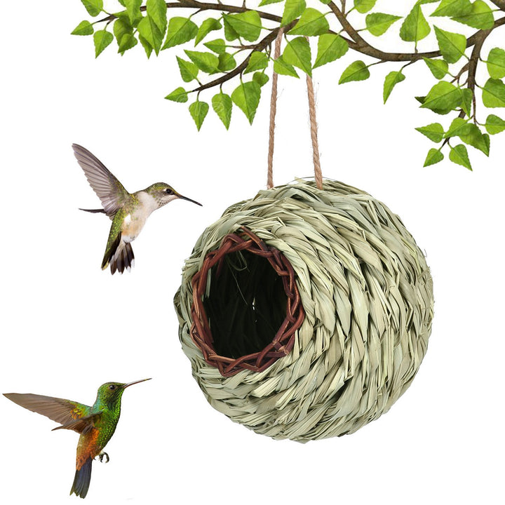 🐦Hummingbird Nest House - FOFOPO