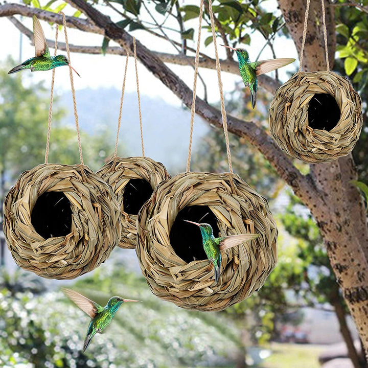 🐦Hummingbird Nest House - FOFOPO