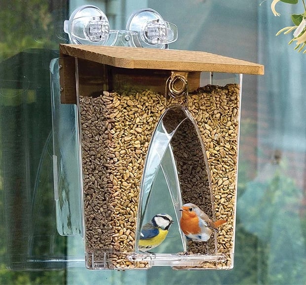 💝 Arch Window Bird Feeder🏠 - FOFOPO