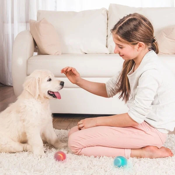 Self-Moving Ball for Pets - FOFOPO