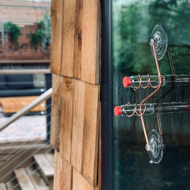 🔥Geometric Window Hummingbird Feeder🐦 - FOFOPO