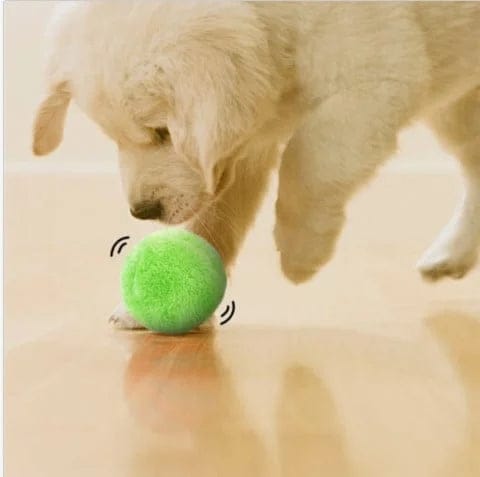 PassionForPets – Active Rolling Ball (4 Colours Included) - FOFOPO