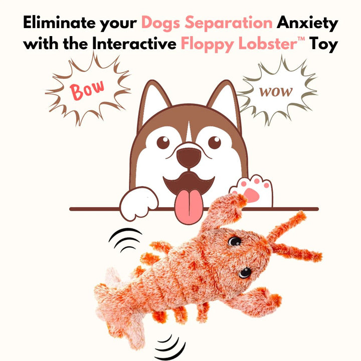 🔥Lobster Interactive Dog Toy - FOFOPO