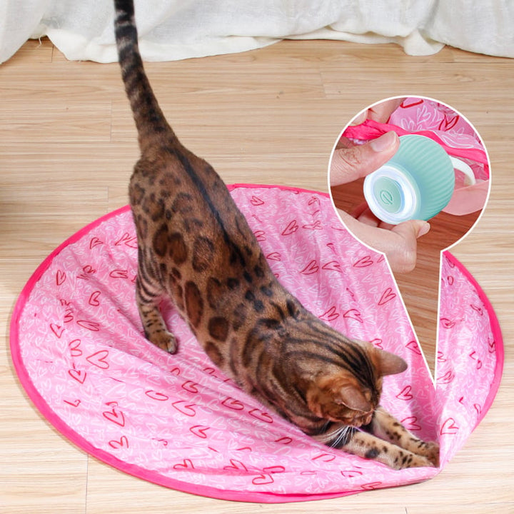 2 in 1 Simulated Interactive hunting cat toy - FOFOPO