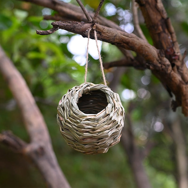 🐦Hummingbird Nest House - FOFOPO