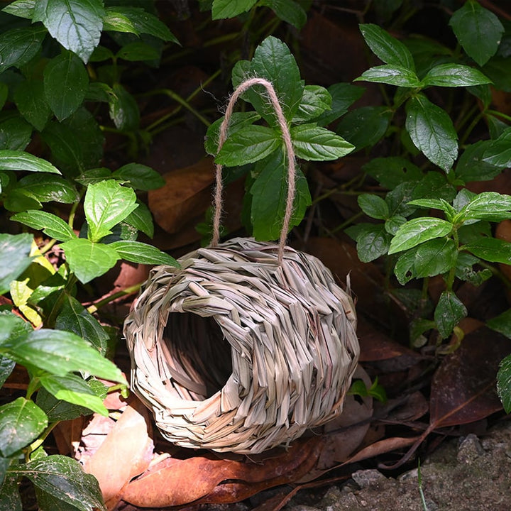 🐦Hummingbird Nest House - FOFOPO