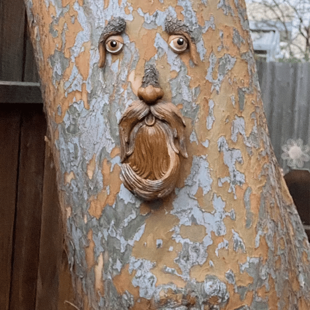 Unique Bird Feeders for Outdoors - Old Man Tree Art 🔥 - FOFOPO