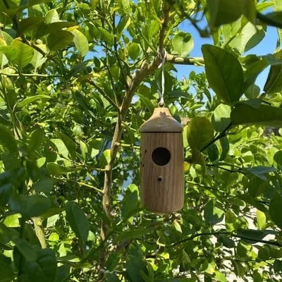 🐦WOODEN HUMMINGBIRD HOUSE-GIFT FOR NATURE LOVERS - FOFOPO