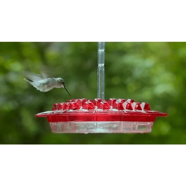 ANT PROOF HUMMINGBIRD FEEDER OUTDOOR HANGING PERCH - FOFOPO