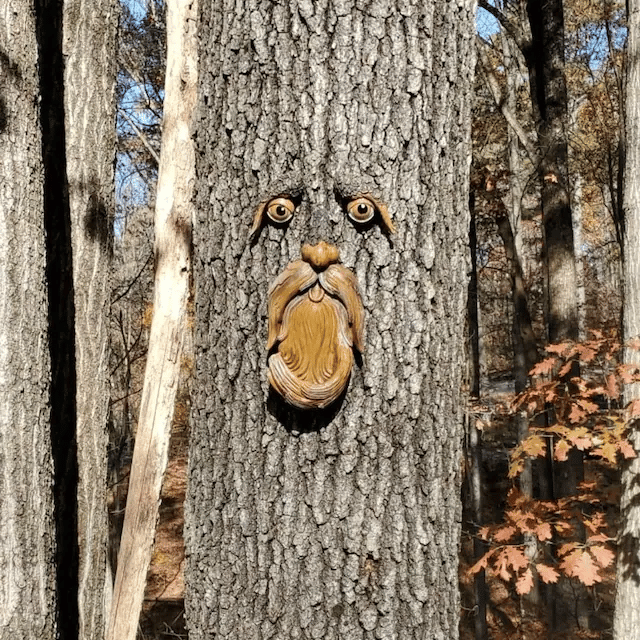 Unique Bird Feeders for Outdoors - Old Man Tree Art 🔥 - FOFOPO