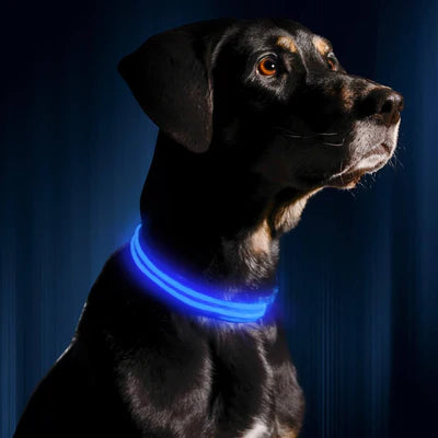 GLOW COLLAR LED DOG COLLAR - FOFOPO