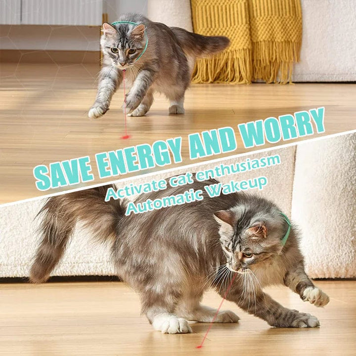 Laser Collar Cat Teaser Toy - FOFOPO