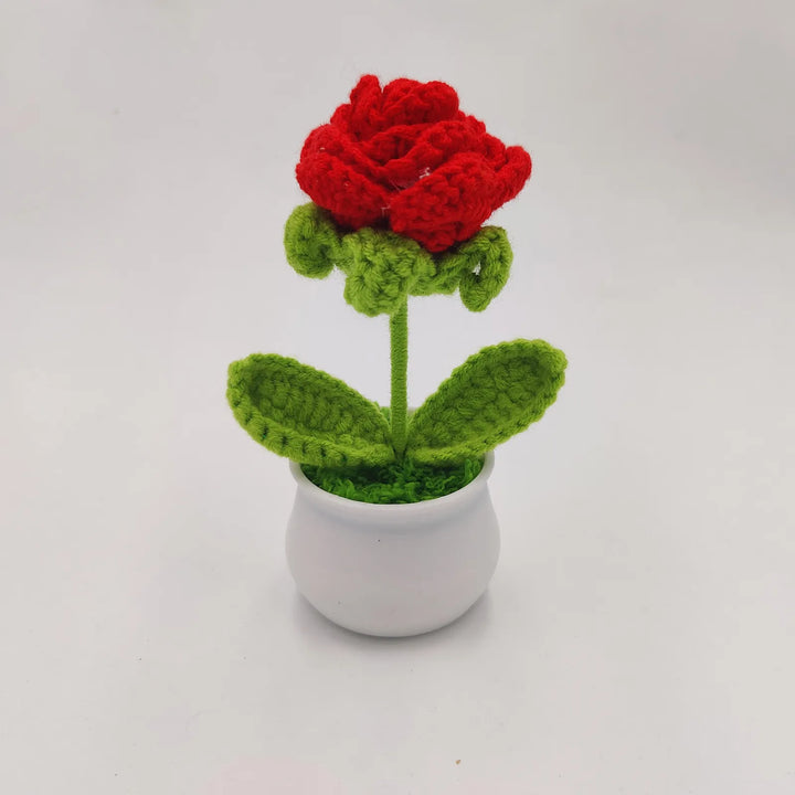 ✨Hand Knitted Mini Potted Plant(Garden Decoration)🌻 - FOFOPO