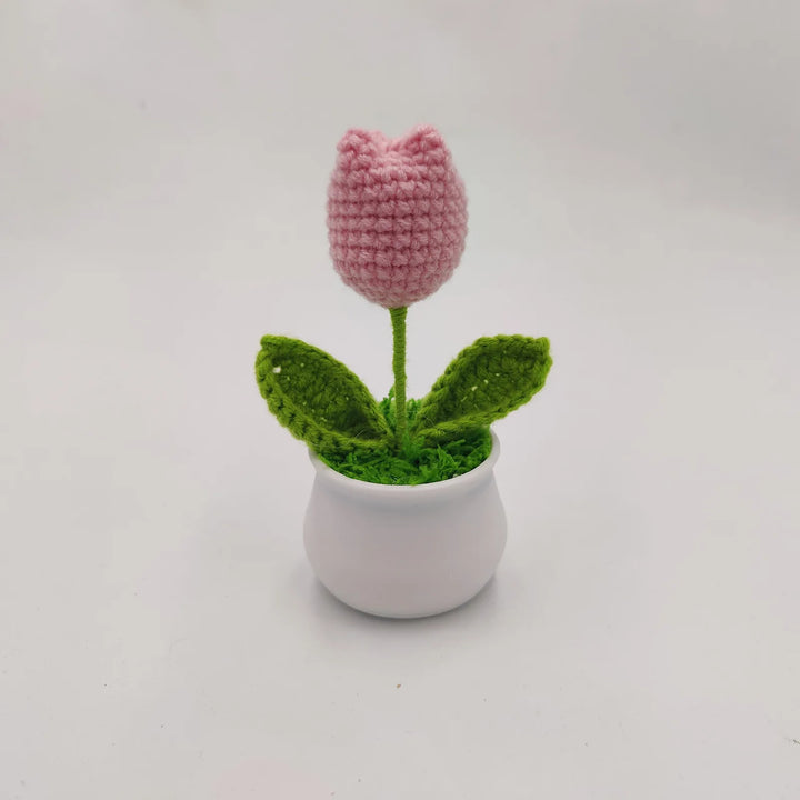 ✨Hand Knitted Mini Potted Plant(Garden Decoration)🌻 - FOFOPO