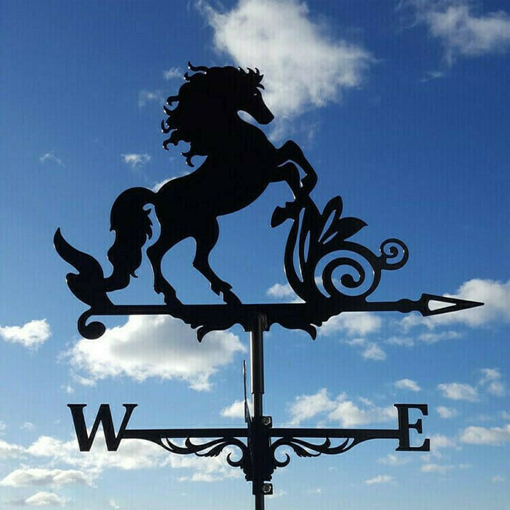 🏠Stainless Steel Weathervane - FOFOPO