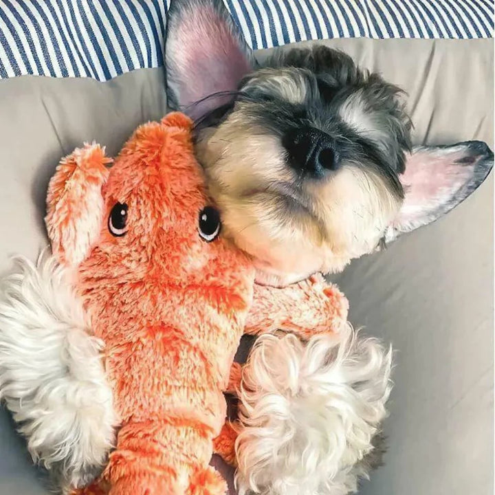 🔥Lobster Interactive Dog Toy - FOFOPO