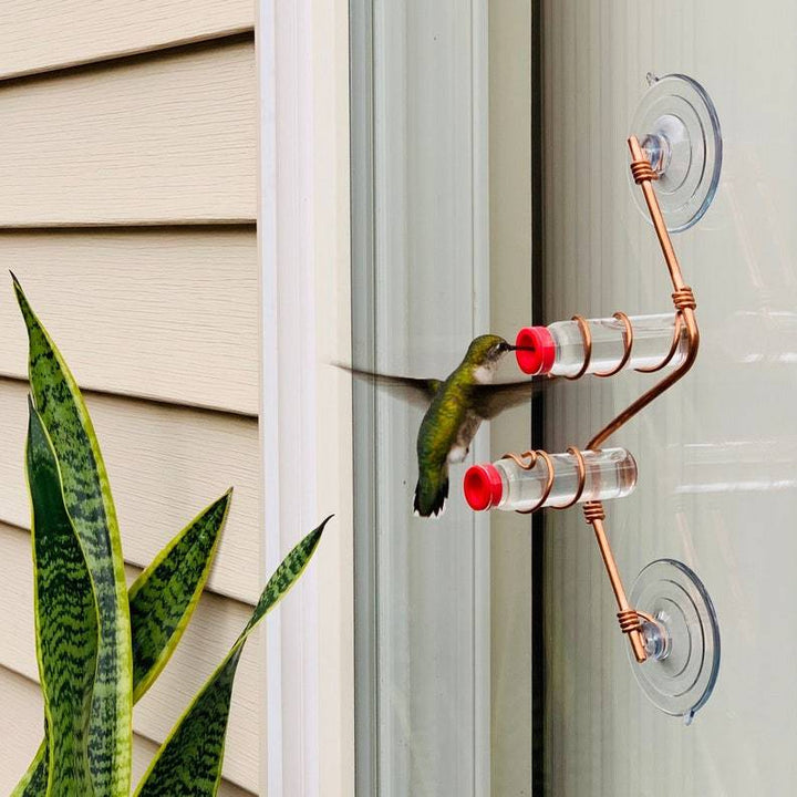 🔥Geometric Window Hummingbird Feeder🐦 - FOFOPO