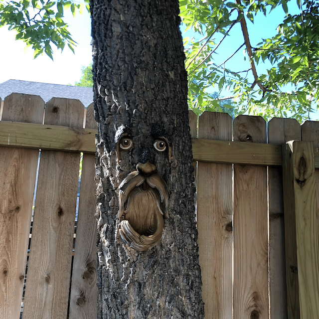 Unique Bird Feeders for Outdoors - Old Man Tree Art 🔥 - FOFOPO