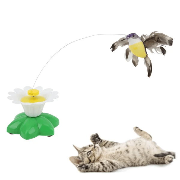 Electric bird teasing cat toy - FOFOPO