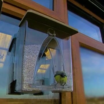 💝 Arch Window Bird Feeder🏠 - FOFOPO